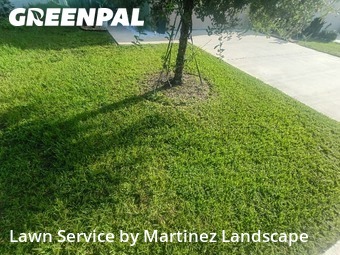 Lawn Care nearby Groveland, FL, 