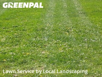 Lawn Care nearby Delaware, OH, 