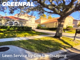 Grass Cut nearby Windermere, FL, 