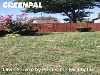 Grass Cutting nearby East Saint Louis, MO, 