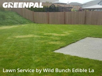 Lawn Care nearby Lacey, WA, 
