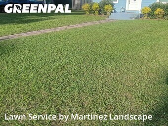 Lawn mowed in Eustis, 32726