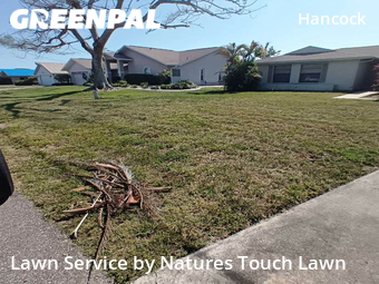 Yard Cutting nearby Cape Coral, FL, 