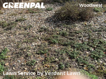 Lawn Cut nearby Fort Collins, CO, 