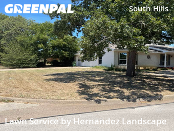 Lawn Cut nearby Fort Worth, TX, 