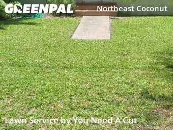 Lawn Mow nearby Miami, FL, 