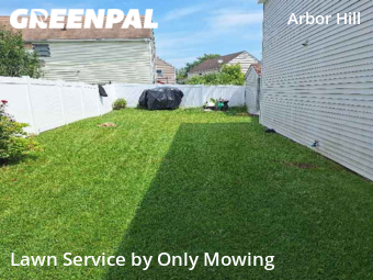 Lawn Care nearby Albany, NY, 