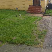 residential-lawn-cutting-businesses-in-Buffalo-NY