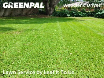 Lawn Service nearby Tallahassee, FL, 