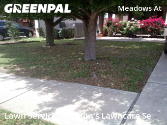 Lawn Cutting nearby Del Valle, TX, 