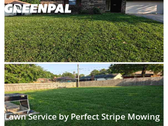 Grass Cutting nearby Springfield, MO, 