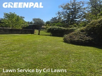 Grass Cut nearby Tyler, TX, 