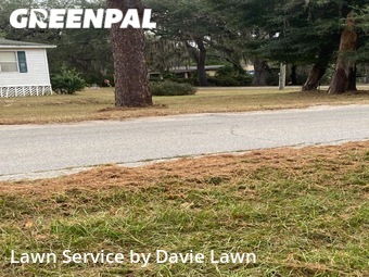 Yard Cutting nearby Lady Lake, FL, 