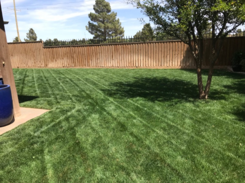 Cuñados Landscaping Lawn Care Services in Lubbock, TX