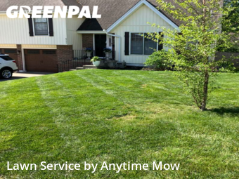 Lawn Mow nearby Grandview, MO, 