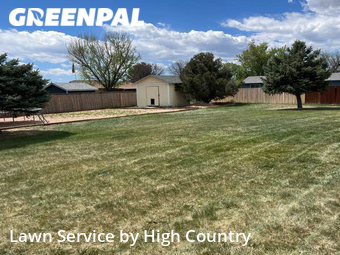 Yard Mowing nearby Thornton, CO, 