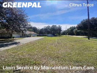 Lawn Mowing Service nearby Wesley Chapel, FL, 