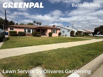 Work completed by grass-care-professionals-in in Los Angeles, CA