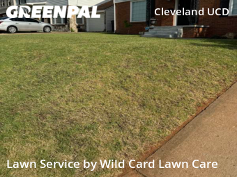 Yard Mowing nearby Oklahoma City, OK, 