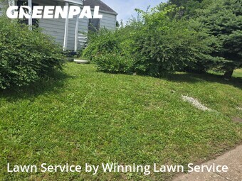 Lawn Mowing nearby East St. Louis, MO, 