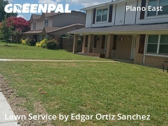 Grass Cut nearby Plano, TX, 