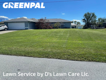 Lawn Cut nearby Cape Coral, FL, 