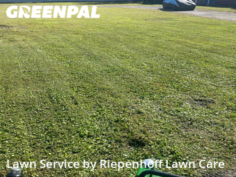 Yard Mowing nearby Lutz, FL, 