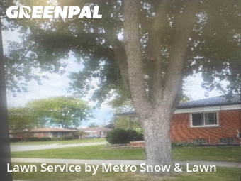 Grass Cut nearby Fraser, MI, 