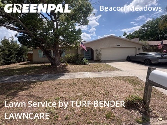 Lawn Cut nearby Tampa, FL, 