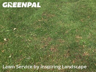 Lawn Maintenancein Centennial,80112,Yard Mowing by Inspiring Landscape, work completed in Jun , 2026