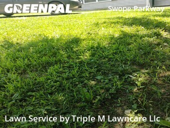 Lawn Maintenancein Kansas City,64130,Lawn Care Service by Triple M Lawncare Llc, work completed in Jun , 2026