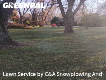 Lawn Cutting nearby Prospect Heights, IL, 