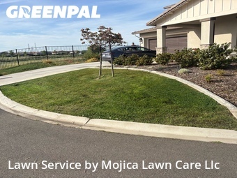 Work completed by grass-cutting-businesses-in-Roseville-CA