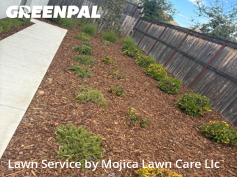Work completed by yard-maintenance-professionals-in-Folsom-CA