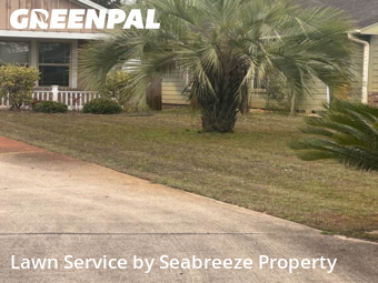 Yard Cutting in Navarre, 32566, Lawn Services by Seabreeze Property , work completed in Dec , 2025