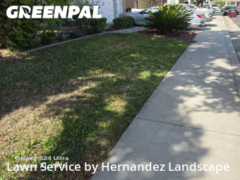 Work completed by local-landscaping-services-in-Murrieta-CA