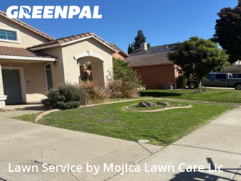 Landscaping Cleanup In Elk Grove,95758,Landscaping Renovation by Mojica Lawn Care Llc, work completed in Nov , 2025