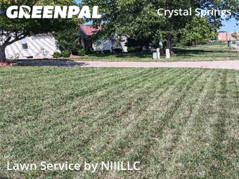 Lawn Cut nearby Grand Rapids, MI, 