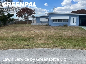 Grass Cut nearby Port St. Lucie, FL, 