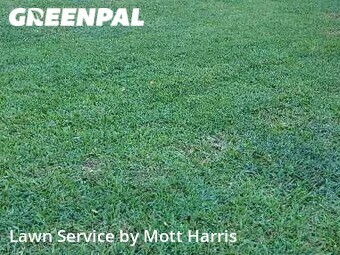 Lawn Care Service nearby Boca Raton, FL, 