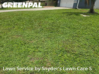 Grass Cut nearby Lakeland, FL, 