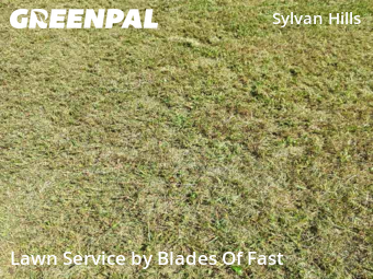 Lawn Care nearby Atlanta, GA, 