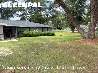 Lawn Mow nearby Ocala, FL, 