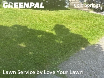 Lawn Mow nearby Buffalo, NY, 