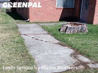 Grass Cutting nearby Clinton Township, MI, 