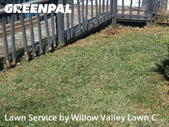 Lawn Mow nearby Roanoke, VA, 