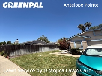 Lawn Maintenance nearby Antelope, CA, 