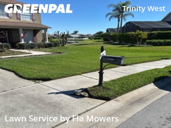 Yard Cutting nearby Trinity, FL, 