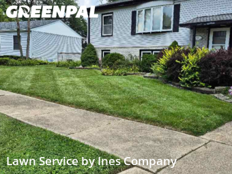 Lawn Cutin Orland Park,60462,Yard Mowing by Ines Company, work completed in Dec , 2025