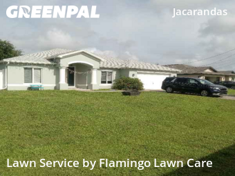 Lawn Cut nearby Cape Coral, FL, 